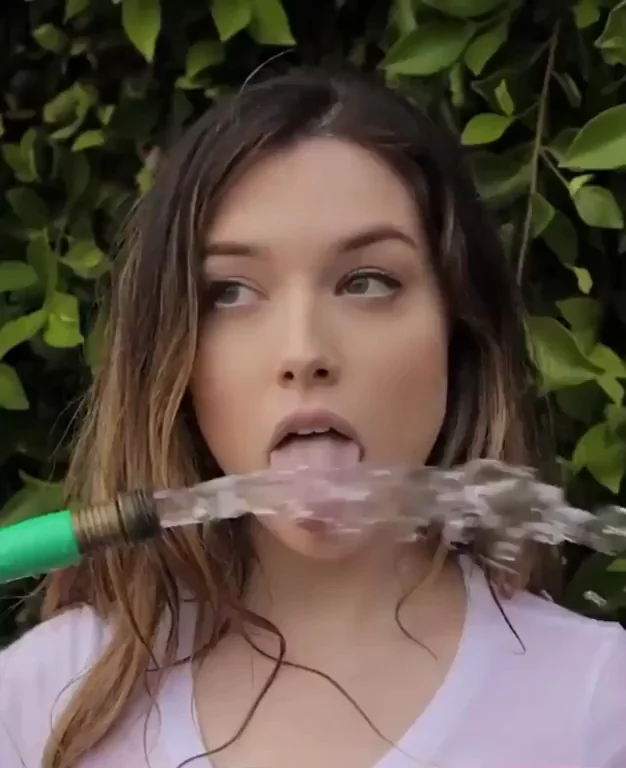 Lauren