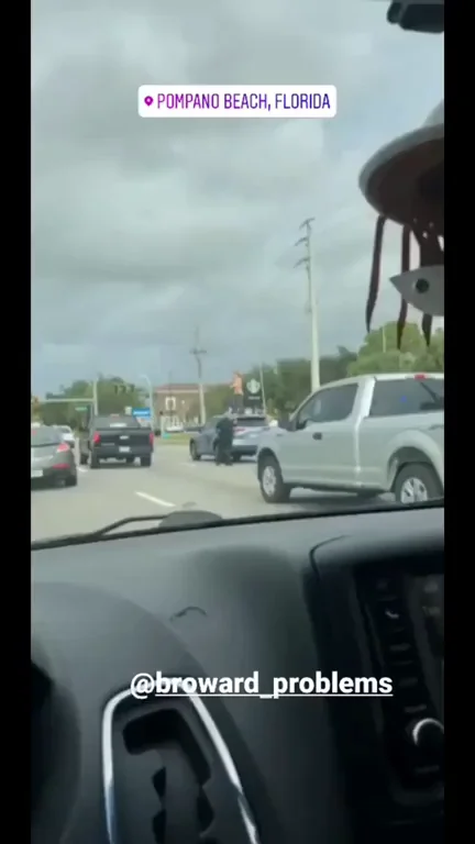 Florida Woman Holding Up Traffic