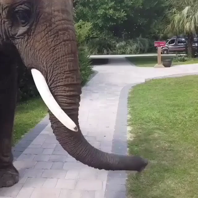 He knows what he wants
