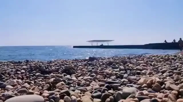 Sunny Day