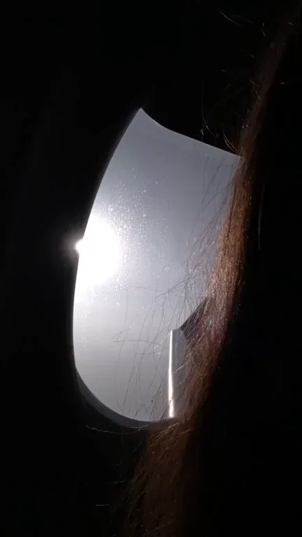 🛫 Tits Out on the Plane! Naughty OC Flash 😈🍈🍈