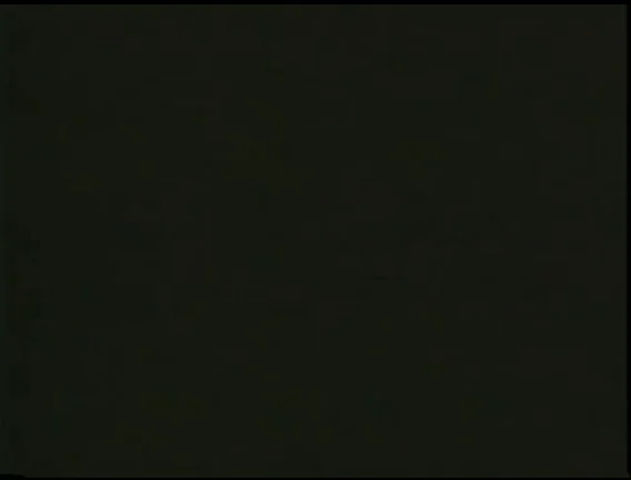 Christy Canyon fucked by Mark Davis in Sex Secrets of a Mistress (1995)