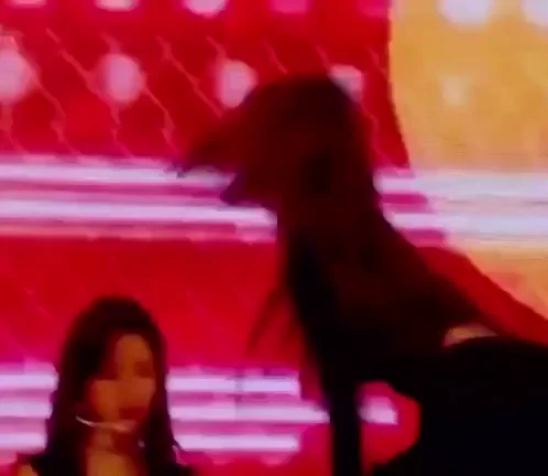 Minju - IZ*ONE Adult Ceremony Body Roll