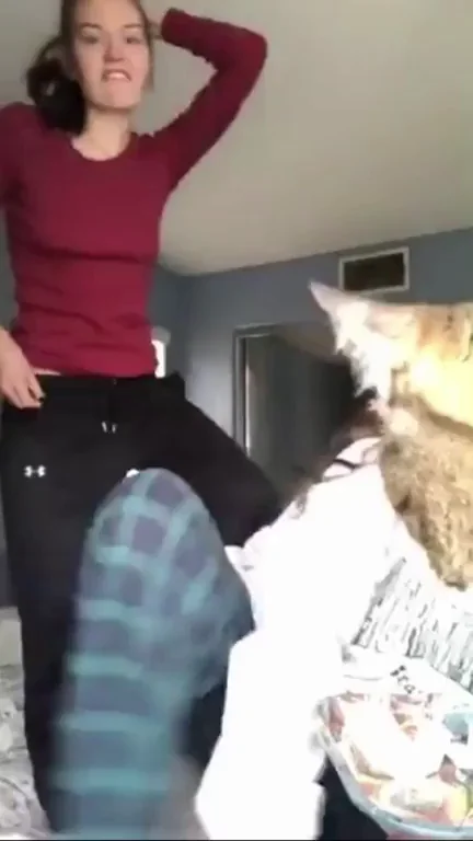The kitty liked what he saw