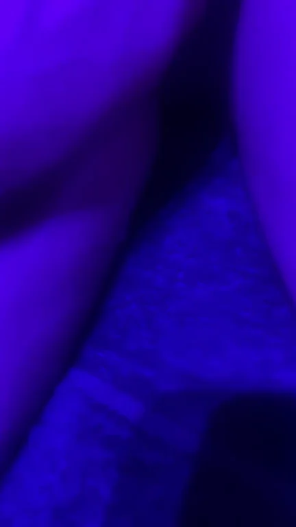 Massage Gone Wild: Pronebone Pounding Turns Simple Rub into Dripping Fuckfest