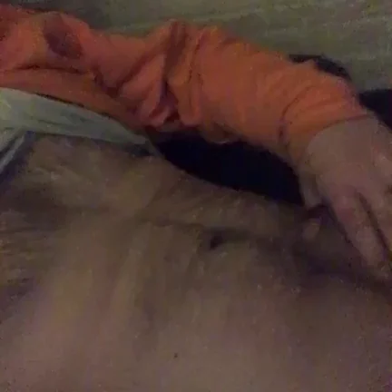 Heyyyy