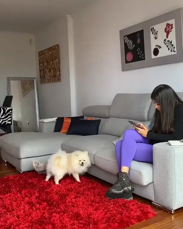 If you were the girl sitting on the couch, what would your reaction be?