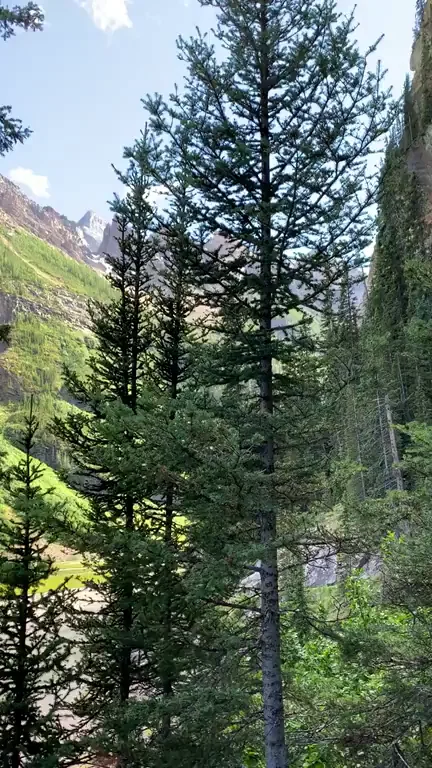 Adorable Trail Tease: Love This View?