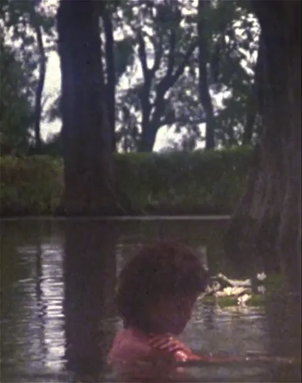 Adrienne Barbeau's Steamy Swamp Tits in Swamp Thing (1982)