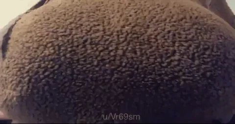 Sunday Funday Furry Titty Bounce 🍈🍈😈