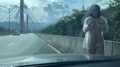 Hola! Bridge flash? [OC][GIF]