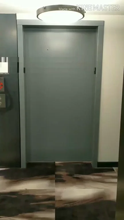 Elevator Slut Steps Out Bare Pussy Flash 😈🚪