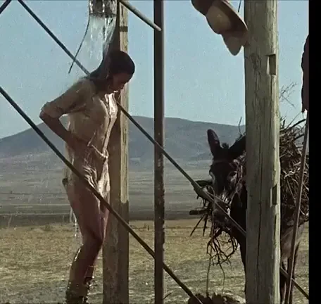 Raquel Welch's Steamy Desert Tease in 100 Rifles 💦🔥
