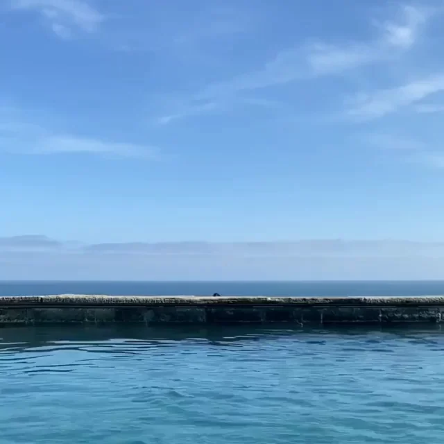 Courteny Cox diving into a pool.
