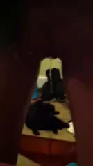 💦 Pussy Gushing Like a Fucking Fountain Leak! 😈
