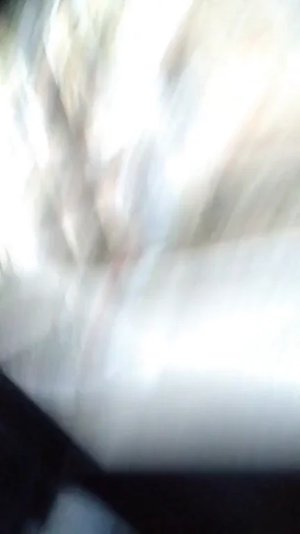 Real couple got caught fucking on the roadside