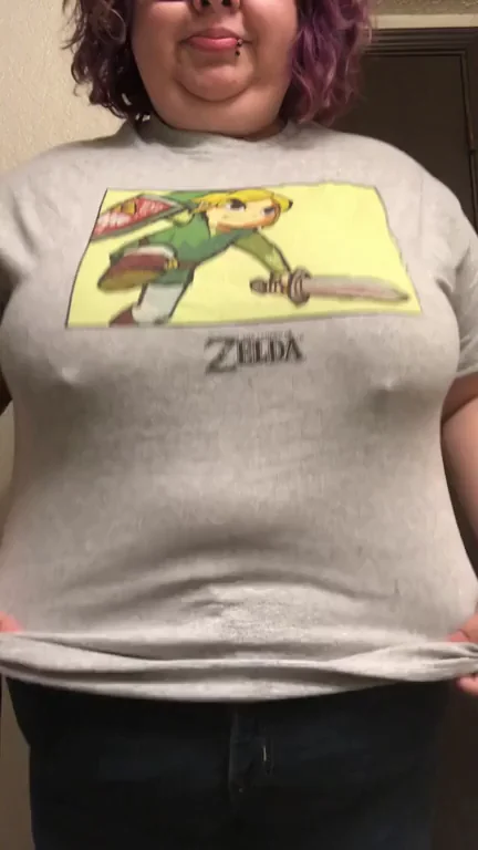 Any LOZ fans? (Sorry about zipper)
