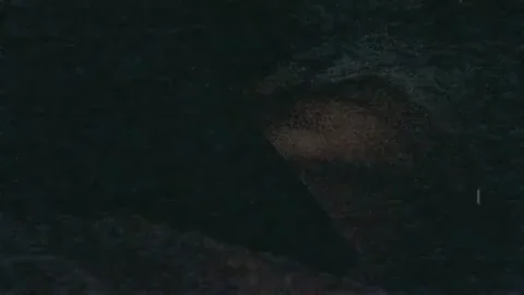 Jerking my big cock for ya ??