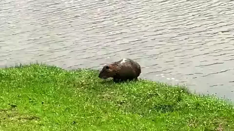 Wow nature is much interesting..?