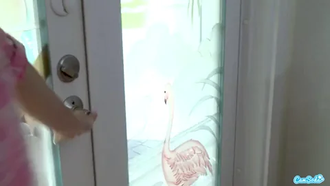 what the fuck did i just watch