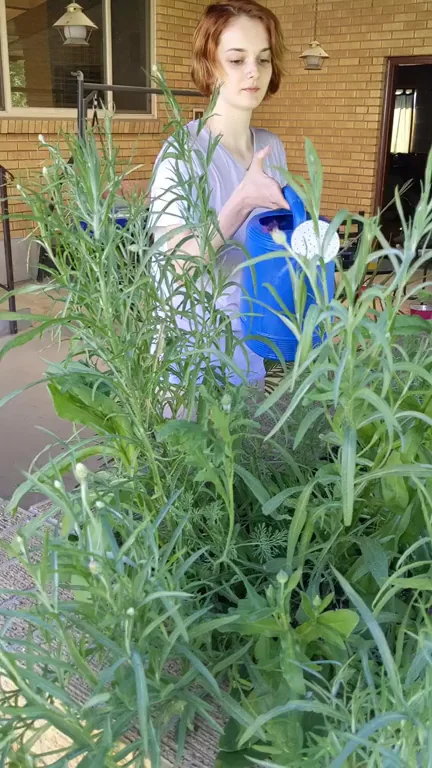 Just watering the flowers