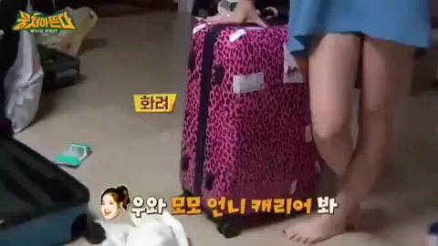 Twice Momo!