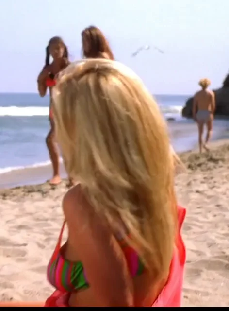 Jessica Simpson Brought Some Nice Plot to That 70's Show
