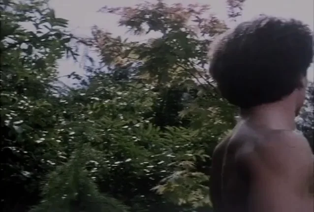 Diane Franklin's Juicy Tits in Second Time Lucky (1984) 🌿🍈