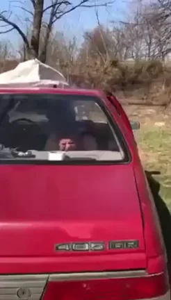 What a Sunny Day !