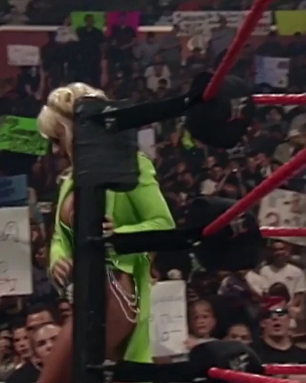 WWE sluts back in the day was the best