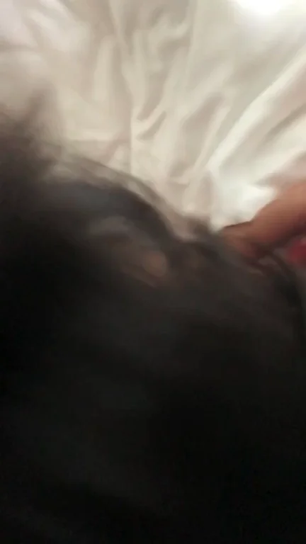 My Video