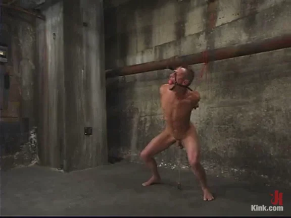 Basement Bitch