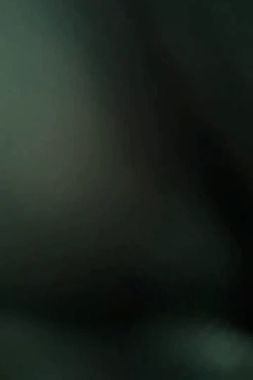Vid describes itself ?