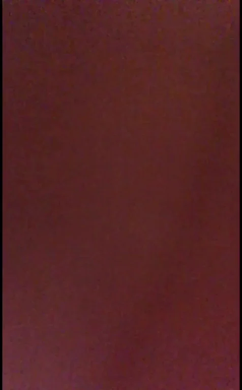 View from below