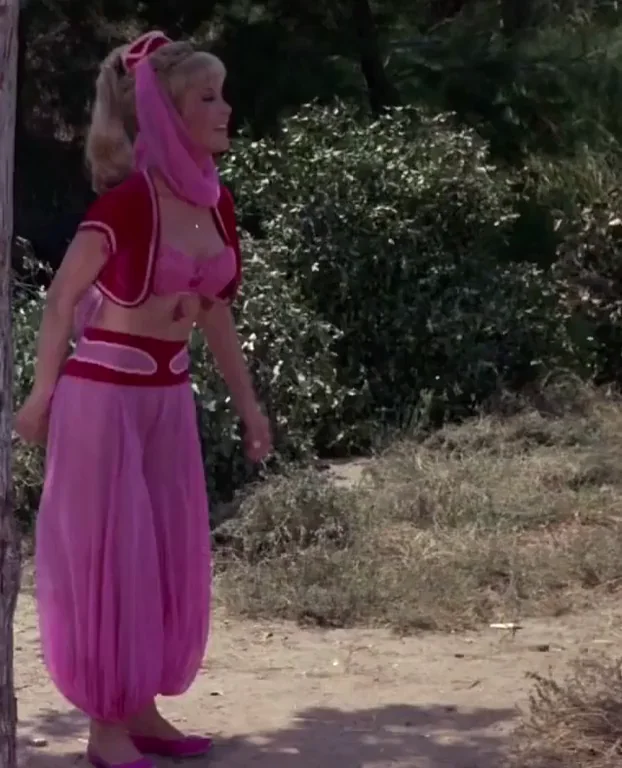 Barbara Eden on I Dream Of Jeannie