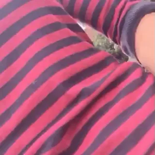 Surprising flash [gif]