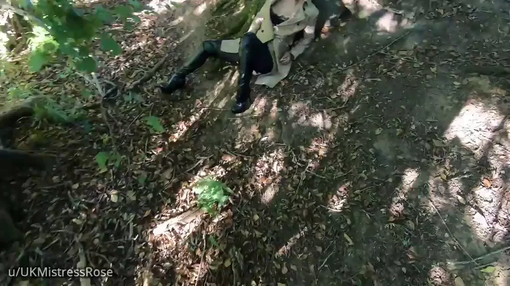 When you walk into the woods today you're sure of a big surprise