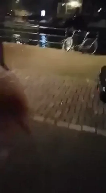 Her usual Friday night
