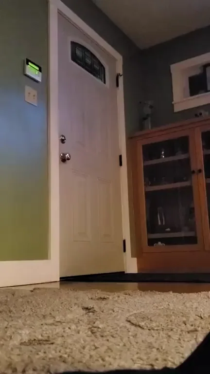 🍕 First Pizza Dare: Bare-Ass Door Slut 😳🔥