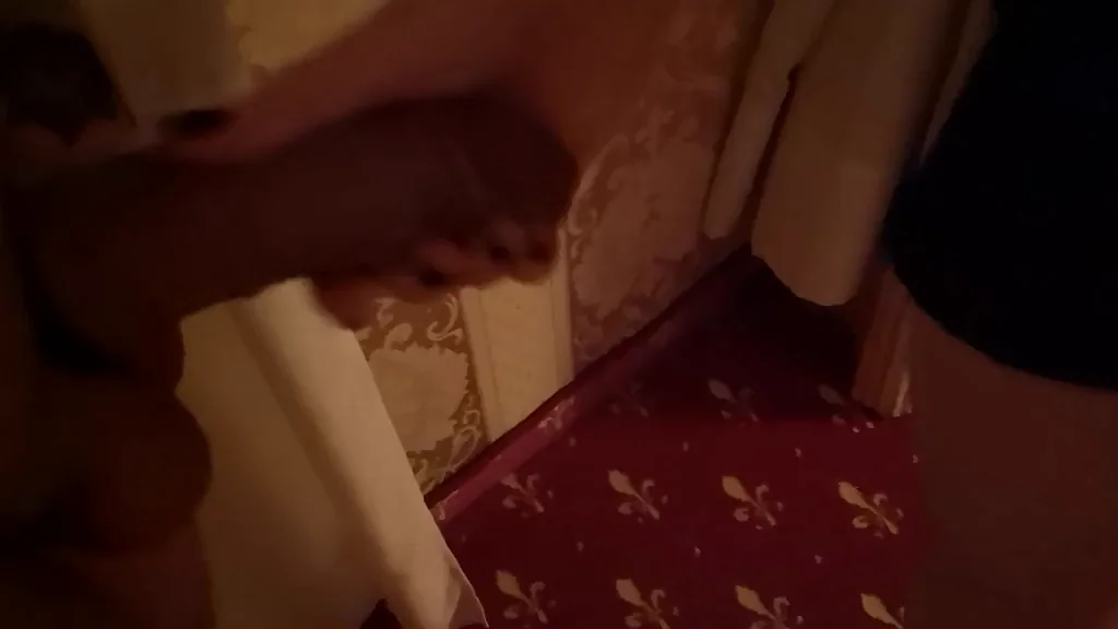 Flashing from hotel window [FM]