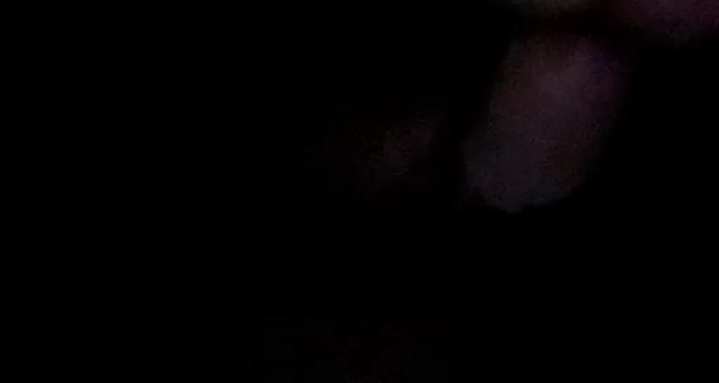 Butt Plug Creamy Masturbating Porn GIF by lilbbyrot