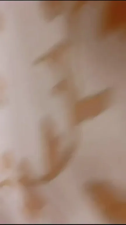 the best blowjob in the world!
