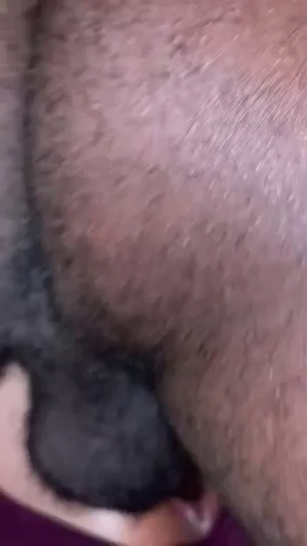 Bull's Massive Black Balls Slapping GF's Pussy Hard 🍆💦