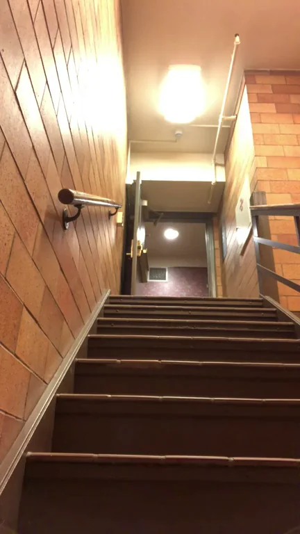 Risky Stairwell Skirt Flash from Horny Femboy Trans Slut