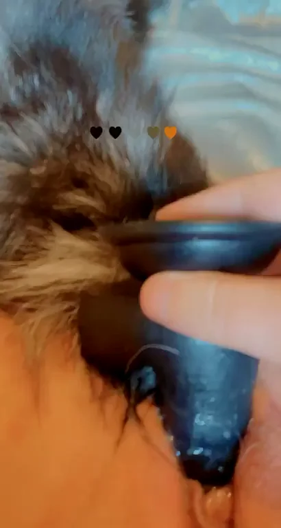 I love playing with my toy