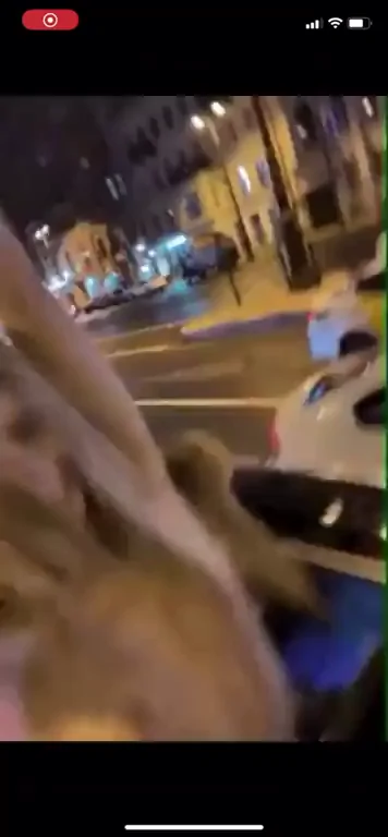 Naughty Girlfriends' Public Flash Fest 🔥👯‍♀️