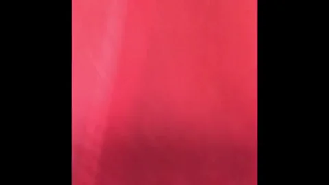 The world’s fastest stripper