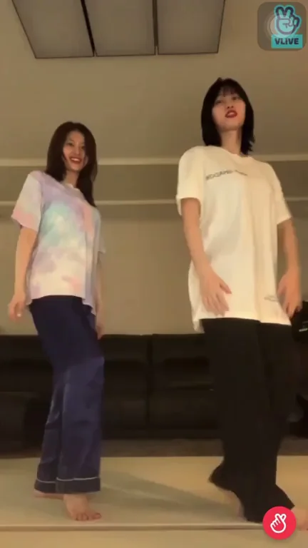 Twice - Sana twerk