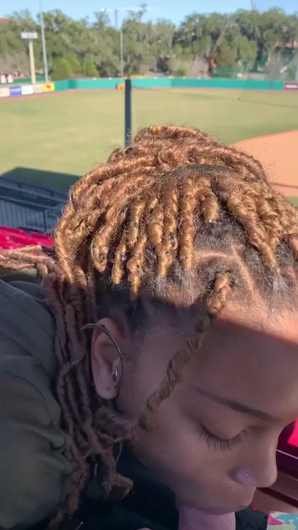 Take me out to the ball game ?[GIF] [OC]