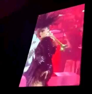 Lady Gaga's Sparkly Ass Shaking on Stage